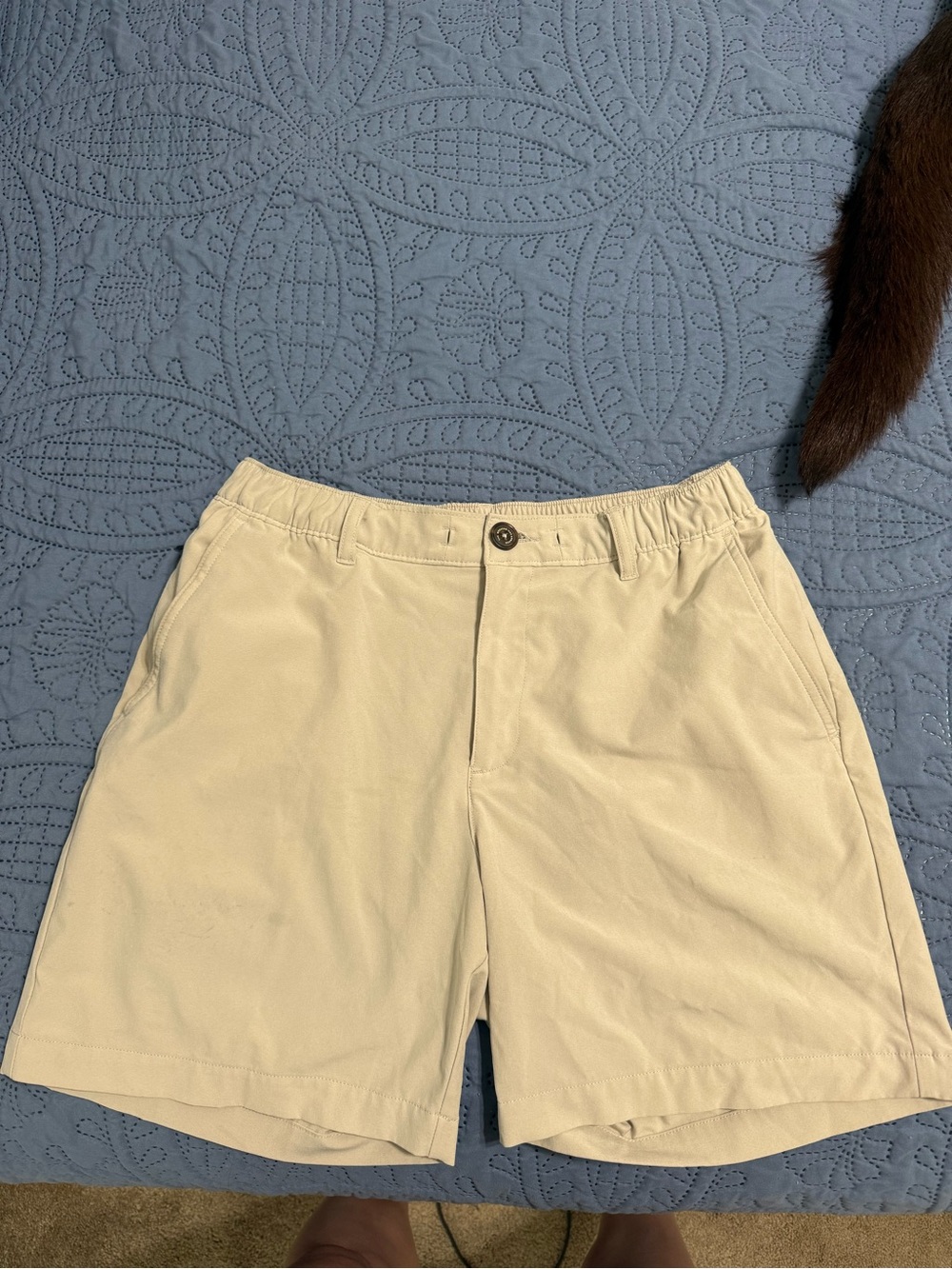 chubbies Khaki Beige Athletic Men’s Shorts